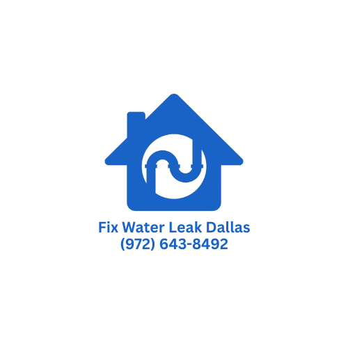 Fix Water Leak Dallas full