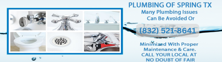 Plumbing of spring TXcover 2 Copy 768x217