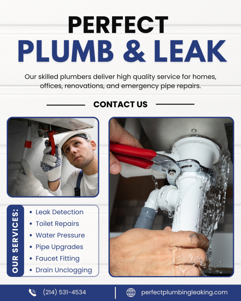Perfect Plumb Leak 1 768x960