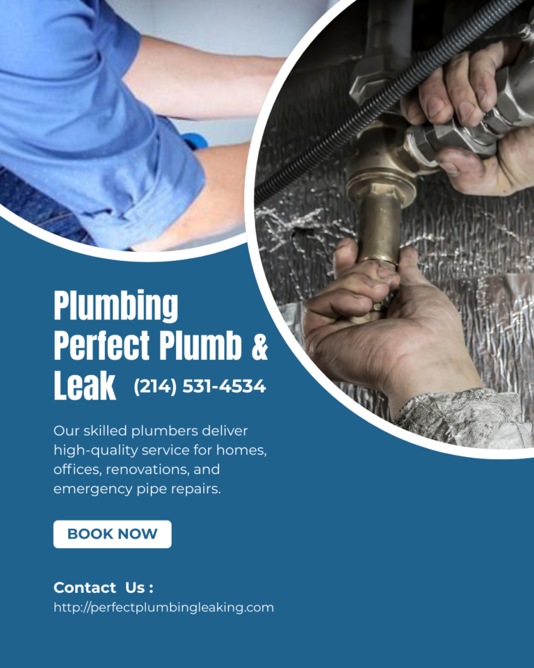 Perfect Plumb Leak 2 768x960