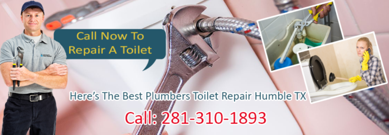 Screenshot 2026 03 30 012829 768x267