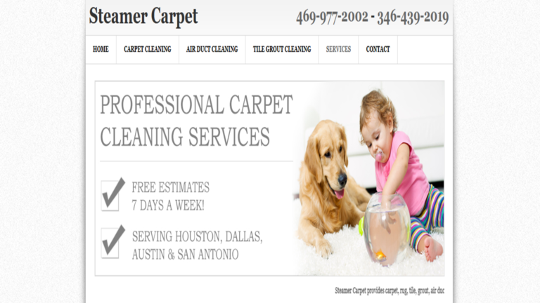 Steamer Carpet header 768x432