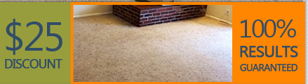Carpet Cleaning La Marque TX copoun 1 1