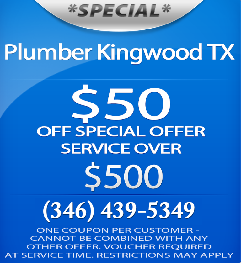 LP Plumbing Kingwood Company  768x839
